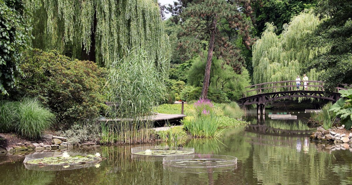 Wroclaw Botanical Garden