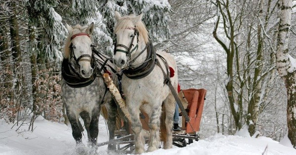 Sleigh Ride Gdansk