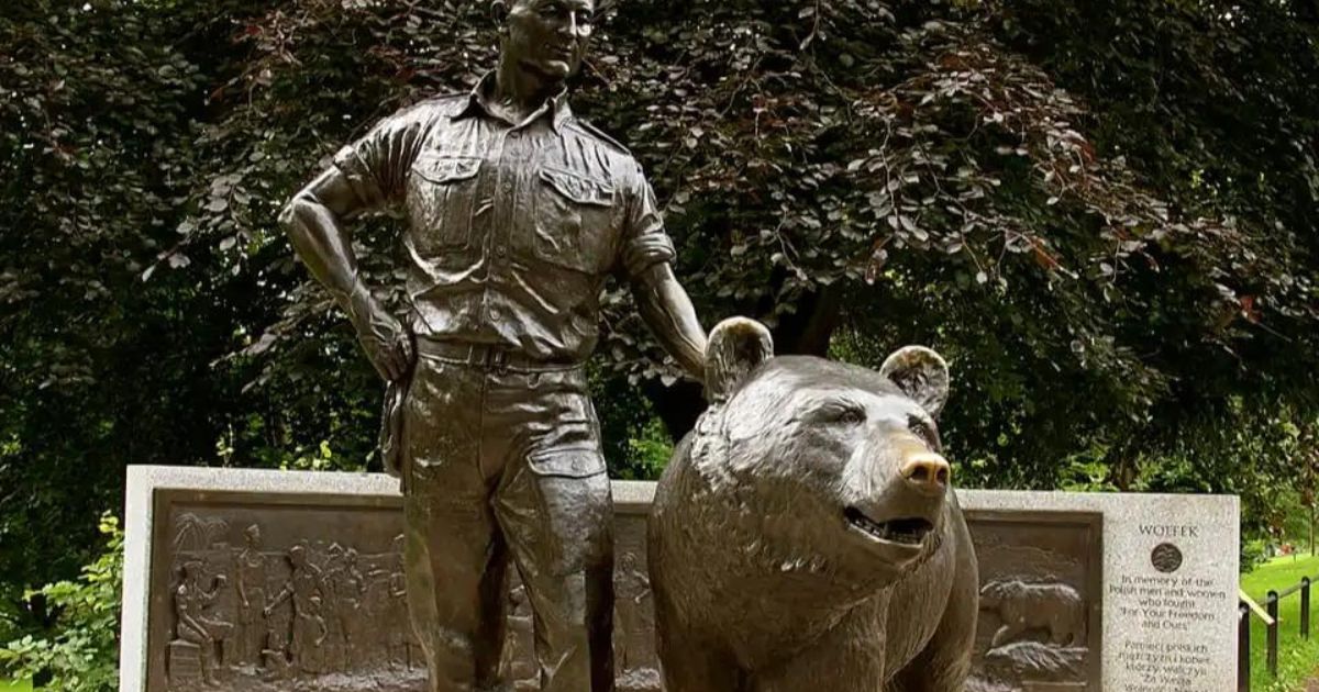 The Legendary Story Of Wojtek The Soldier Bear Beauty Of Poland The Legendary Story Of Wojtek The Soldier Bear Beauty Of Poland