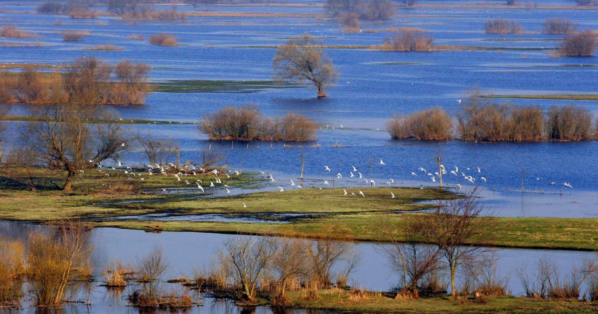 Biebrza National Park