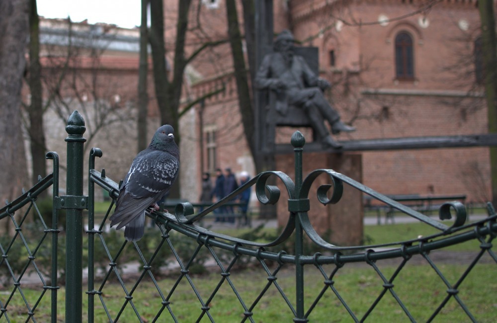 Planty Park Krakow