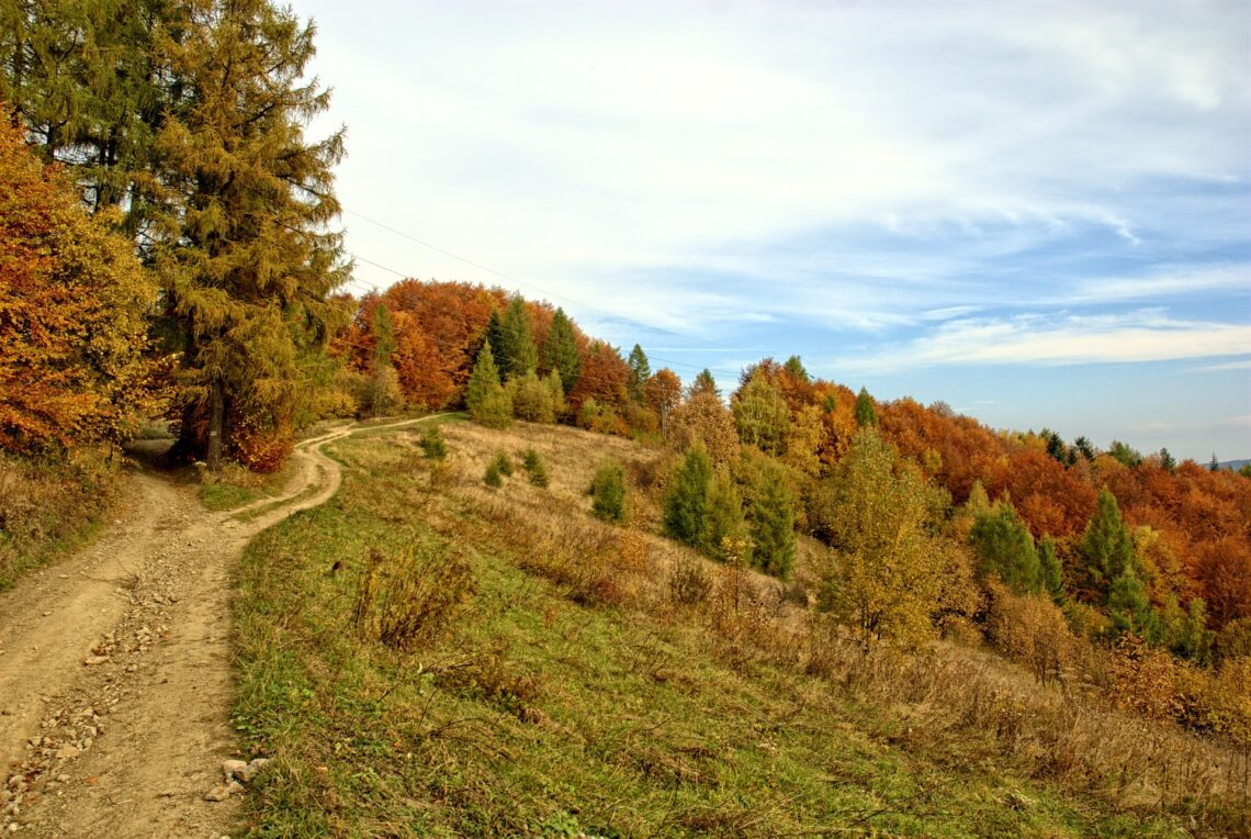 Pieniny Mountains In Poland