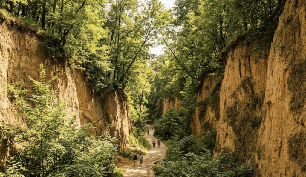 Queen Jadwiga's Ravine