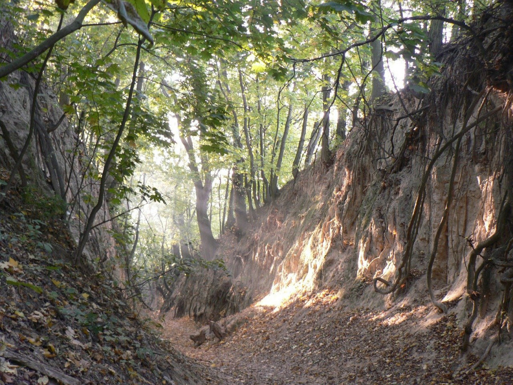 Ravine of Queen Jadwiga Sandomierz