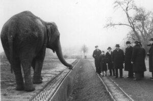 The Warsaw Zoo History