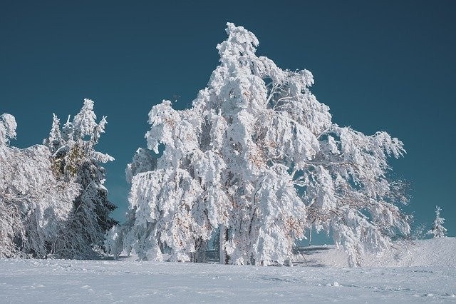 Polish Cold Pole