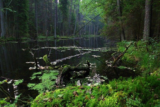 Roztocze National Park