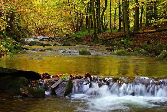 Bieszczadzki National Park